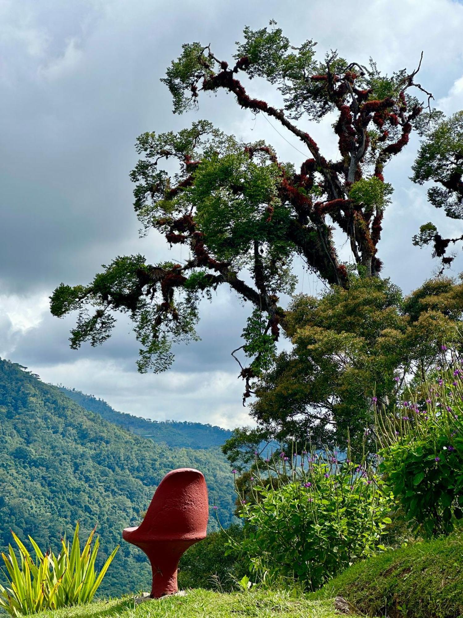Hotel De Montana El Pelicano San Isidro De El General ภายนอก รูปภาพ