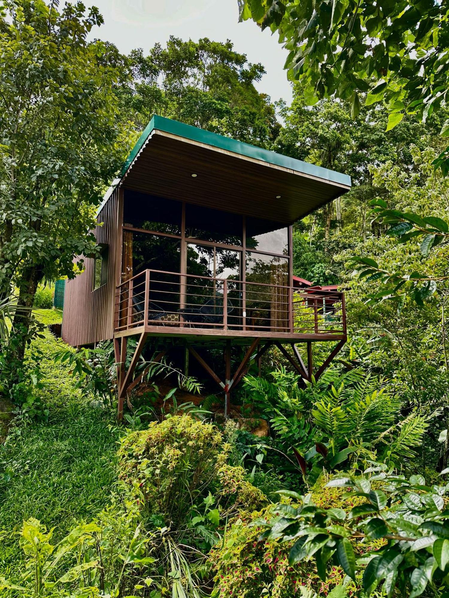 Hotel De Montana El Pelicano San Isidro De El General ภายนอก รูปภาพ