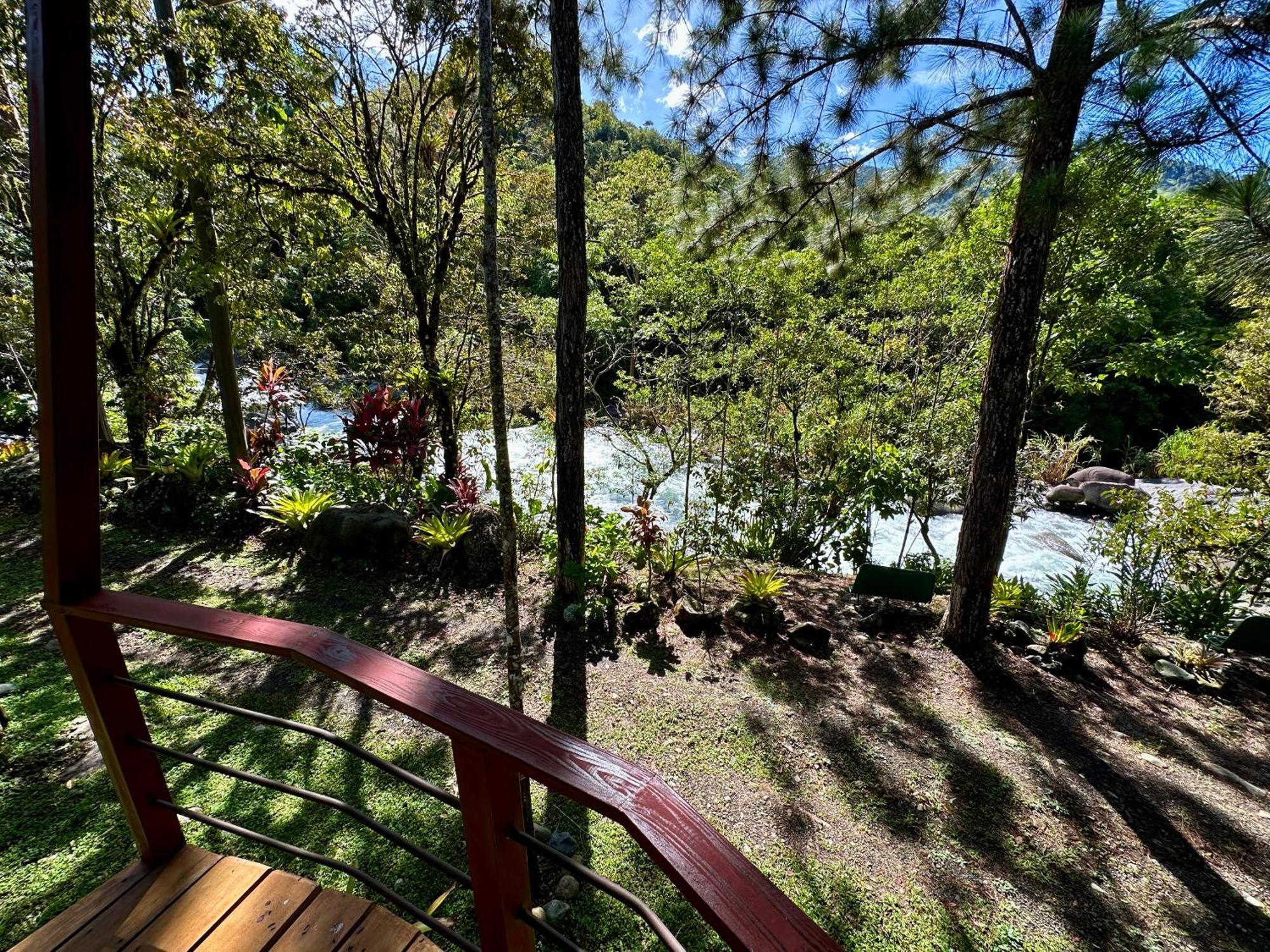 Hotel De Montana El Pelicano San Isidro De El General ห้อง รูปภาพ